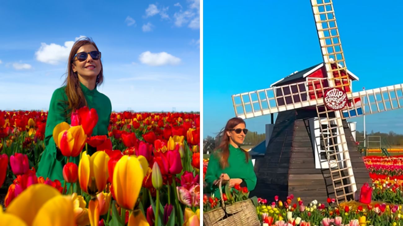 Amsterdam tulipani gratis